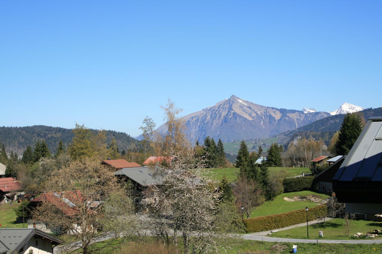 Vue depuis le balcon