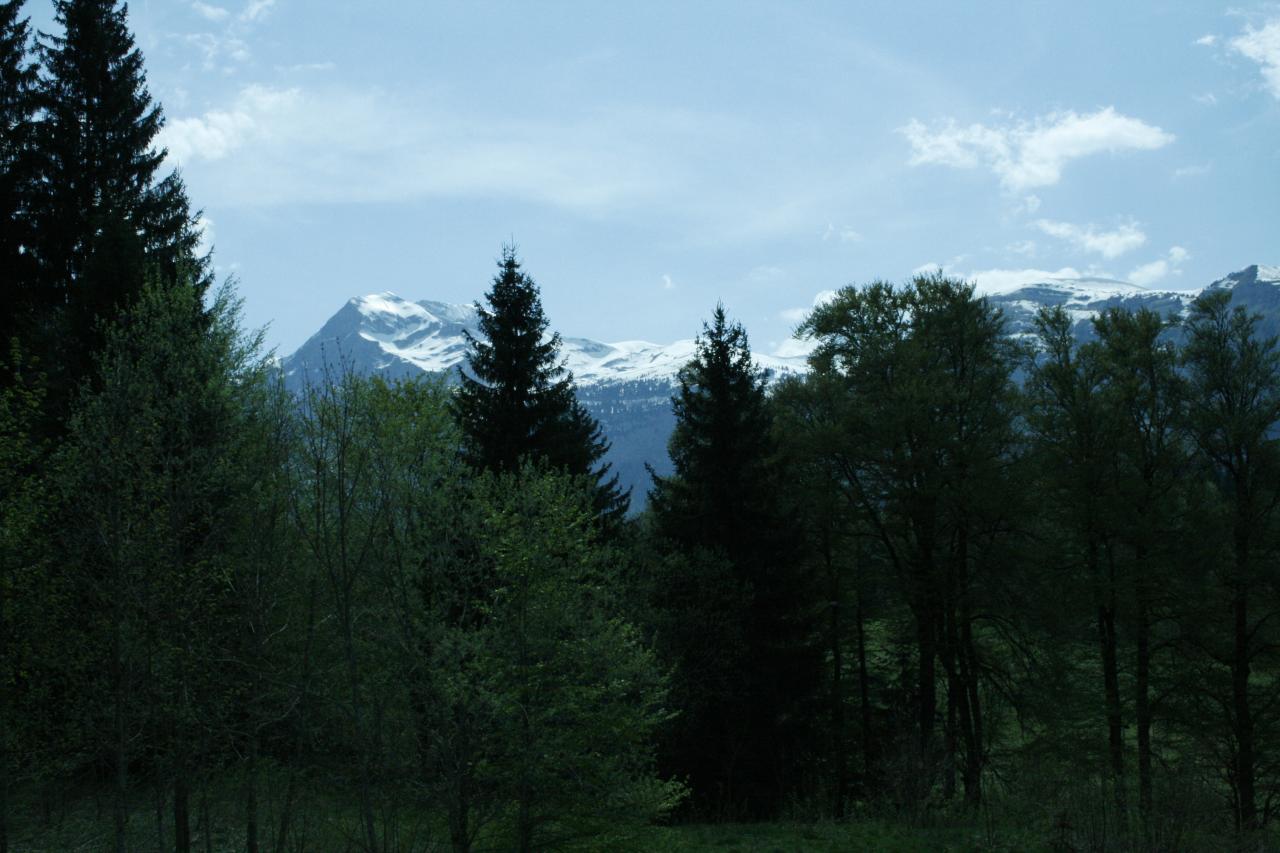 Vue depuis le balcon